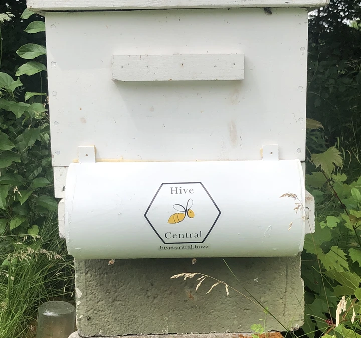 UW Students Create a Buzz with Bee Shield