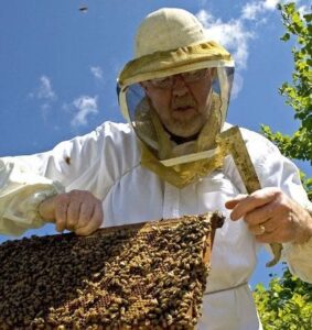 Wisconsin Honey Producers Association